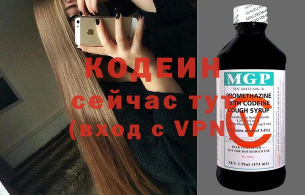 эйфоретик Гусь-Хрустальный